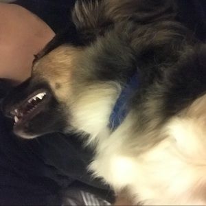 Meet your Posher, Johann